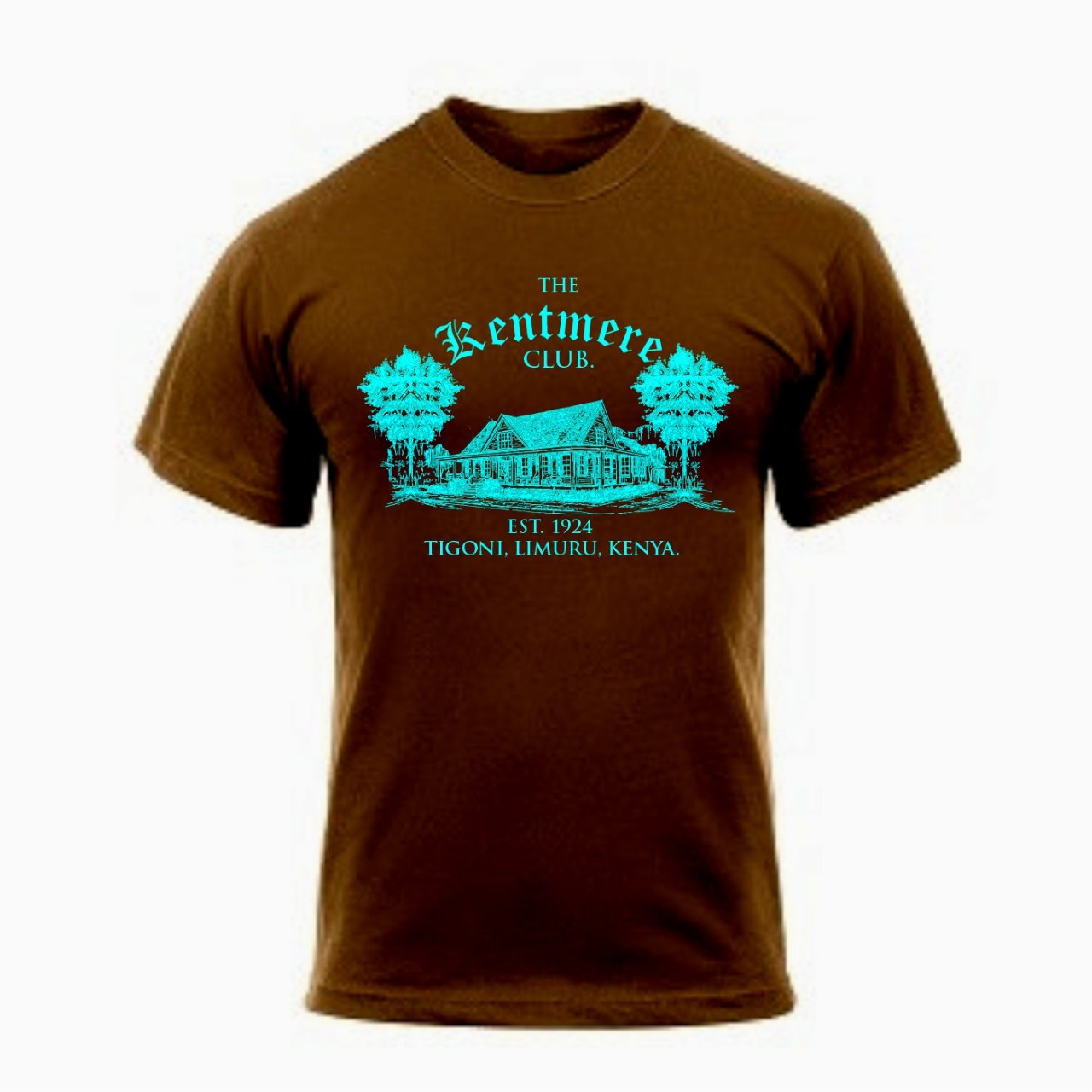 Regular Folks Limuru Trendy Brown T-shirts